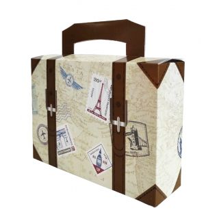 Pack de 6 cajas de maleta grande 14x10x4 cm