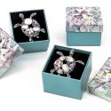 ESTUCHE CON BROCHE TORTUGA