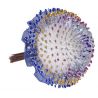 BOUQUET SISAL COLOR AZUL