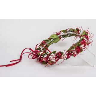 CORONITA ROJA
