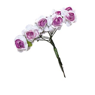 1/10 POM. BICOLOR C/10 FLORES MORADO 