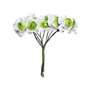 BOLSA 10 POM. BICOL C/ 10 FLORES VERDE 