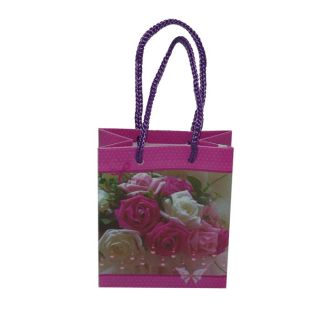 Bolsa para meter detalles