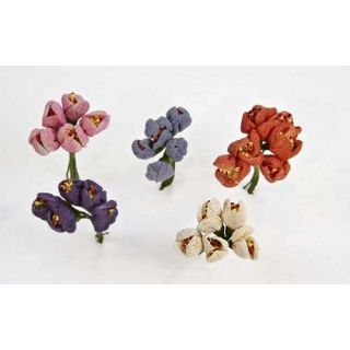Bolsa 12 pomos 12 unidades tulipan pequeño surtido =144