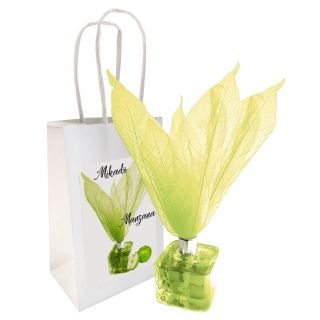 Mikado de manzana 50ml con flor en bolsa 