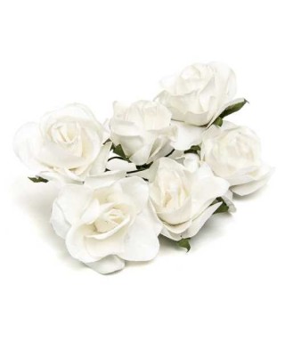 BOLSA 12 POM 6 ROSAS BLANCA