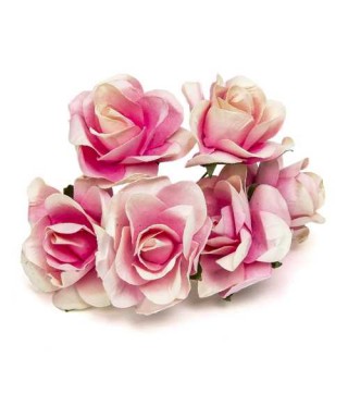 BOLSA 12 POMOS 6 ROSAS ROSA