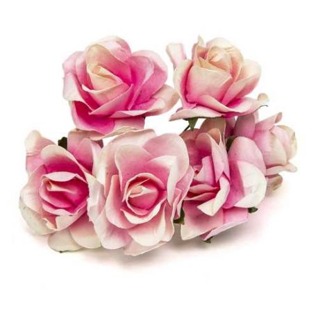 BOLSA 12 POMOS 6 ROSAS ROSA