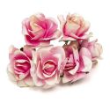 BOLSA 12 POMOS 6 ROSAS ROSA