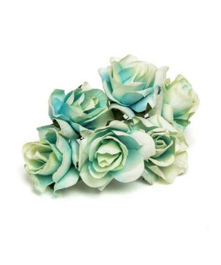 BOLSA 12 POMOS 6 ROSAS AZUL