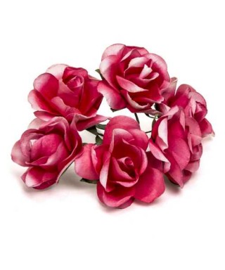 BOLSA 12 POMOS 6 ROSAS FUXIA