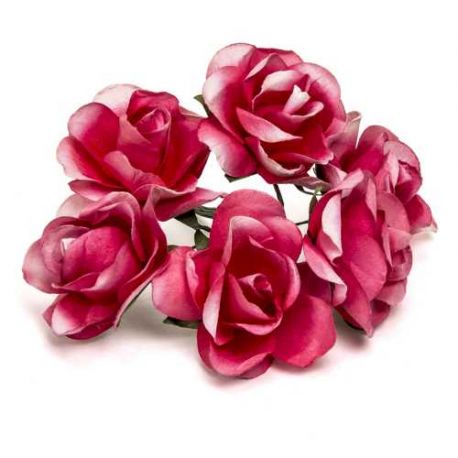 BOLSA 12 POMOS 6 ROSAS FUXIA