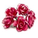 BOLSA 12 POMOS 6 ROSAS FUXIA