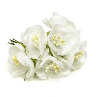BOLSA 12 POMOS 6 AMAPOLA BLANCA