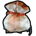 BOLSO NOVIA