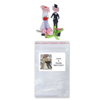 Novios gato en bolsa celofan con tarjeta bodas