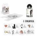 Colonia para detalles boda con caja acetato