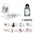Colonia detalles boda caja acetato